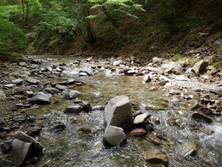 渓流ミノーイング　大イワナ！